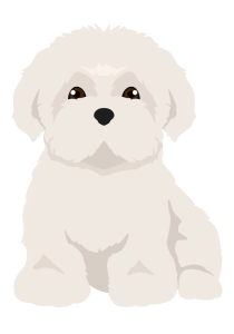 Cartoon image of a coton de tulear puppy